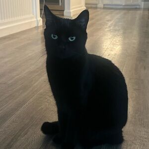 100-199 Bulk Listing 9/29/25